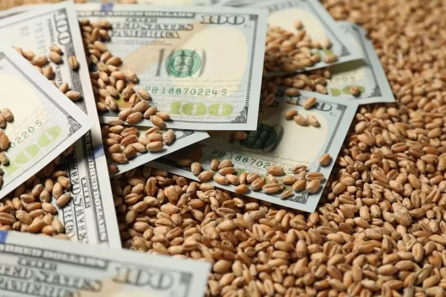 dolar soja