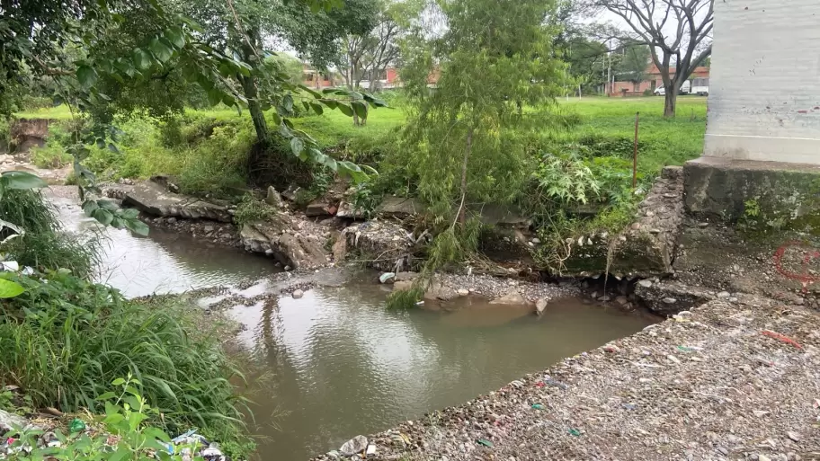CANAL ALVARADO