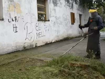 desmalezamiento escuelas