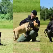 La Policía de la Provincia incorporó a su personal tres nuevos agentes caninos