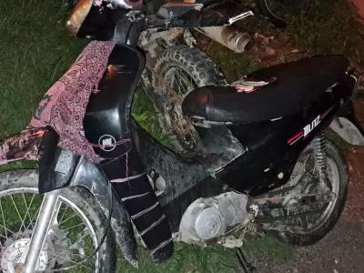 motomel 110