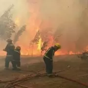 Los incendios en la Patagonia ya dejaron un muerto y m�s de 2.700 hect�reas arrasadas