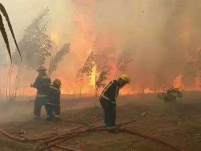 incendios Patagonia