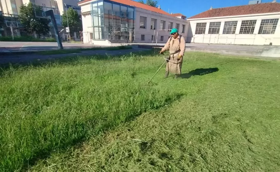 desmalezamiento colegios