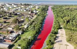 Un arroyo se ti�� de rojo en Avellaneda