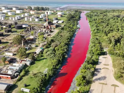 Un arroyo se ti�� de rojo en Avellaneda