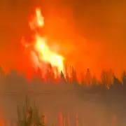 Se descontrol� el incendio en El Bols�n y ordenaron una evacuaci�n de urgencia: hay 700 casas en peligro