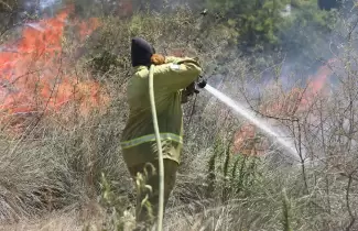 Los incendios en Corrientes arrasan con m�s de 7500 hect�reas