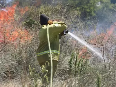 Los incendios en Corrientes arrasan con m�s de 7500 hect�reas