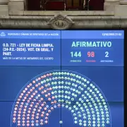 La Cámara de Diputados aprobó Ficha Limpia y el proyecto pasará al Senado