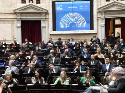 diputados ficha limpia