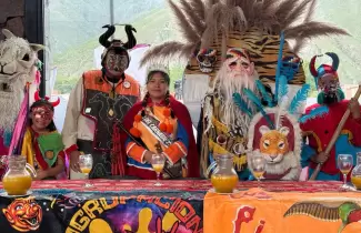Lanzar�n oficialmente el carnaval