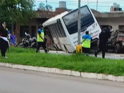 colectivo palpal�
