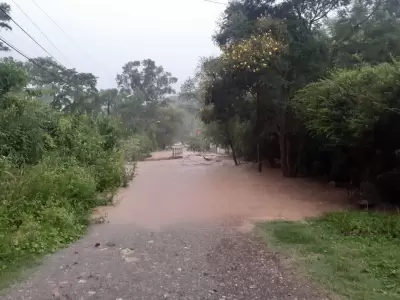 temporal lluvia yala