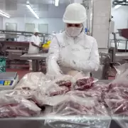 Las exportaciones de carne vacuna registraron una fuerte caída en el inicio del año