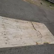 Una placa de madera se desprendió durante un temporal y mató a un turista en Mar del Plata