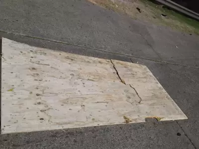 madera temporal mar del plata