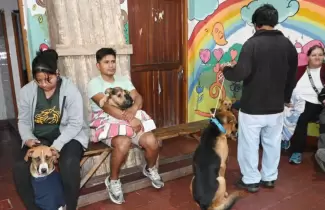Campa�a de castraci�n masiva en el Hogar San Roque y Reyes