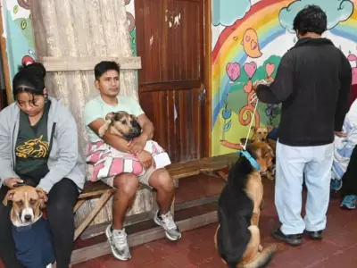 Campa�a de castraci�n masiva en el Hogar San Roque y Reyes