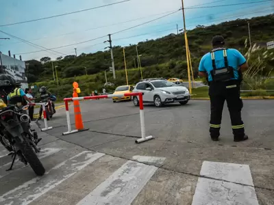 transito carnaval