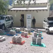 Volcán: incautaron más de 300 kilos de hojas de coca en estado natural