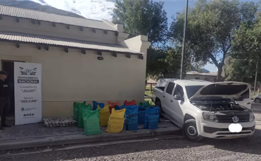 hojas de coca en volcán