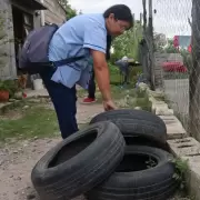 El Ministerio de Salud record� las medidas para un descacharrado eficiente y evitar la proliferaci�n de dengue