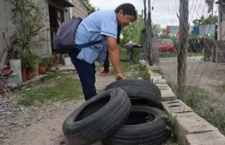 dengue descacharrado