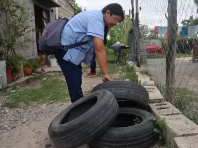 dengue descacharrado