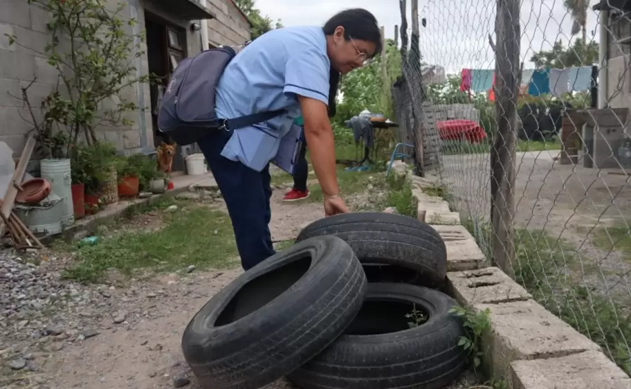 dengue descacharrado