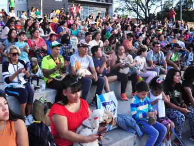 carnaval mascotas