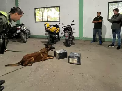 encomienda