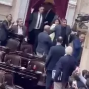 Escándalo en el Congreso: piñas e insultos entre diputados oficialistas y libertarios