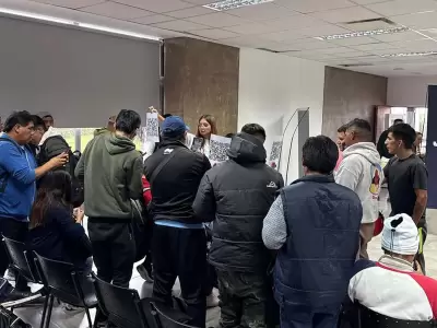 armado cv gobierno