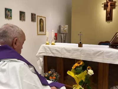 papa mejor�a