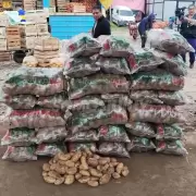 Bajó el precio de la papa en Jujuy: la bolsa se consigue a mitad de valor de lo que costaba hace una semana
