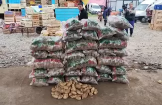 papa bolsa