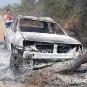 Lo atacó un enjambre de abejas, perdió el control de su auto y murió calcinado