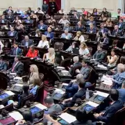 Diputados: la oposición rechazó el veto de Milei a la emergencia en discapacidad y ahora define el Senado