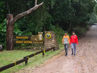 Parque Nacional Calilegua (Foto: jujuyyungas.com.ar)