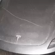 Otro ataque a Tesla en Canadá: vandalizaron 80 autos de la empresa de Elon Musk