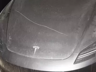 autos Tesla da�ados