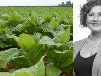 tabaco claudia figueroa
