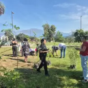 Plantaron 40 árboles nativos en el "Bosquecito de los Estudiantes" en Ciudad Cultural