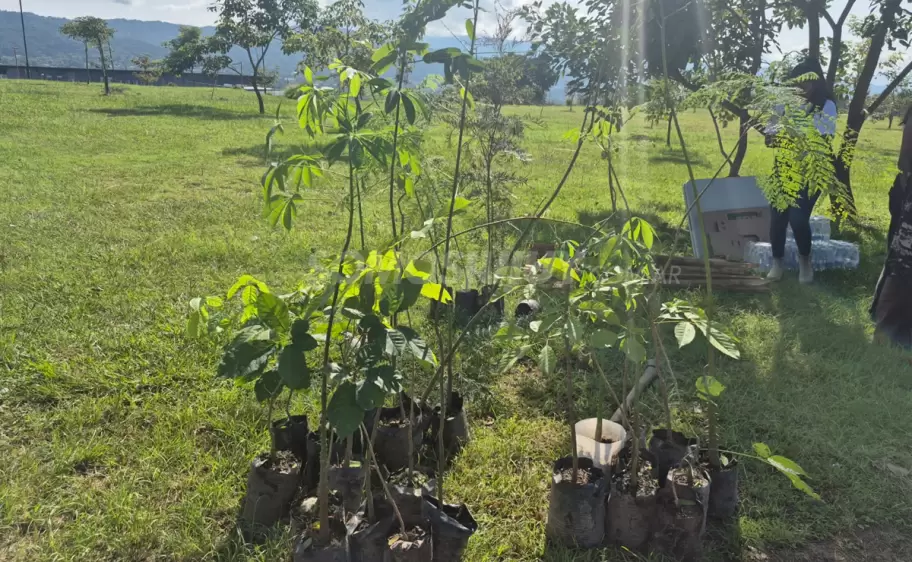 bosquecito de los estudiantes