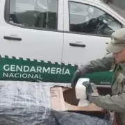 Acondicion� 14 kilos de pasta base dentro de un parlante