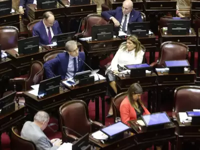senado