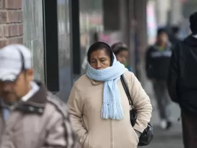 frio personas