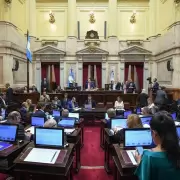 El Senado avaló por unanimidad el reclamo de fondos a la Nación que impulsan los gobernadores
