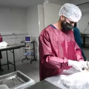 Turnos para castración gratuita de mascotas en el barrio Mariano Moreno